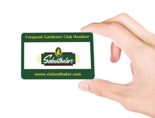 Siebenthaler Members Card