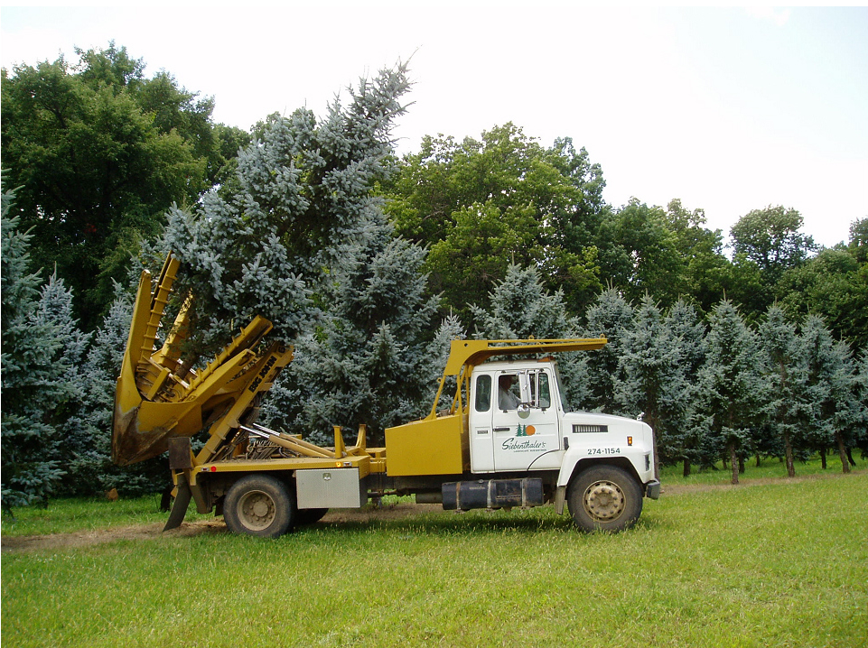 tree spade