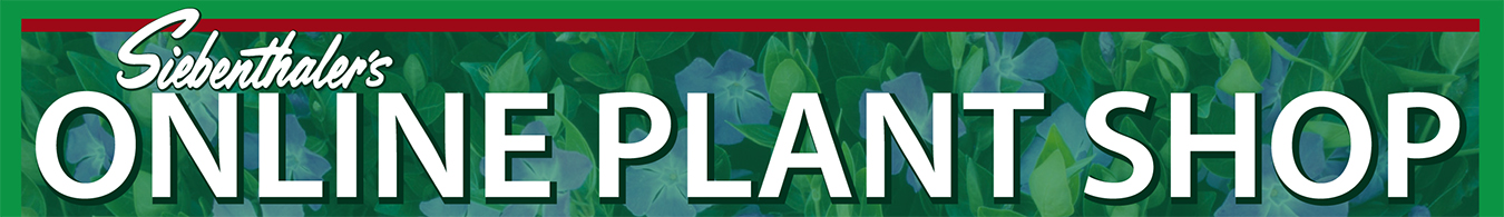 Plant Store Page Header