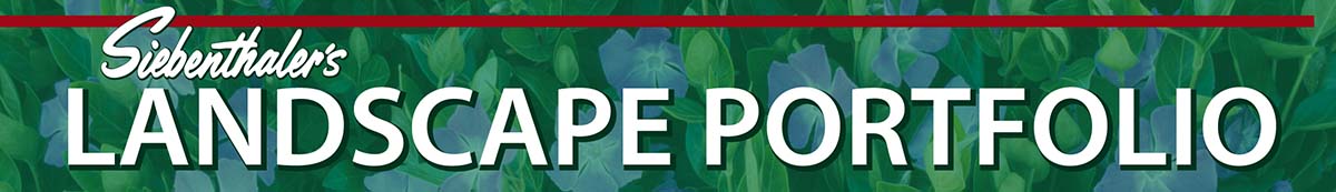 Landscape Portfolio Banner