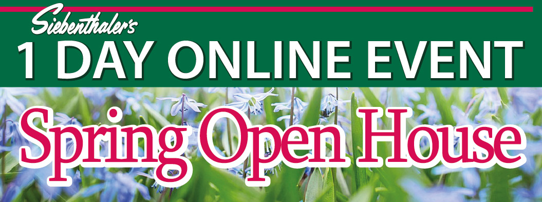 Spring Open House Mini Poster