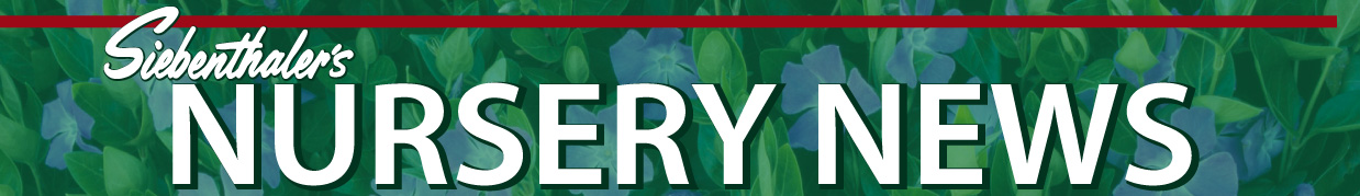 NurseryNews