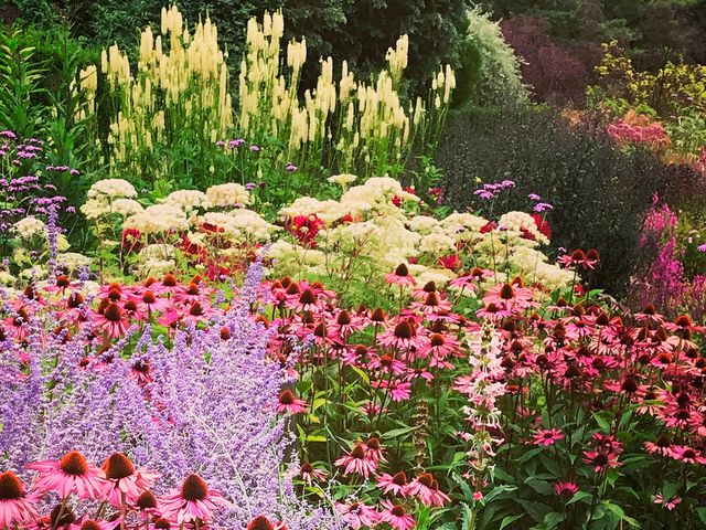Perennial Bed